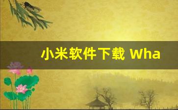 小米软件下载 WhatsApp